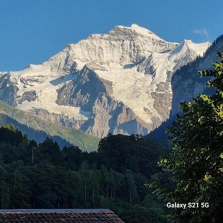 Mountain - Lake Apartment 3 Вильдерсвиль Экстерьер фото